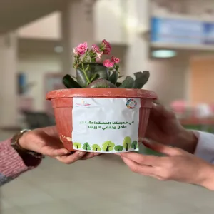 مدرستي مستدامة في مدارس رواد الجامعة