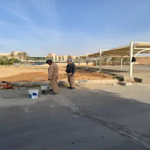 المشروعات والتشغيل والصيانة تقوم بأعمال إزالة التشوهات البصرية وصيانة المضلات