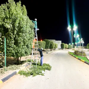 The General Administration for Projects, Operations, and Maintenance continues trimming trees