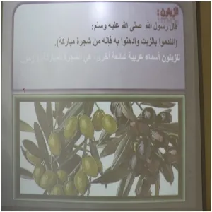 الاعجاز العلمي في القران الكريم للتين والزيتون