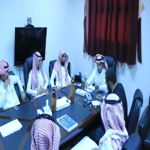 المجلس الاستشاري