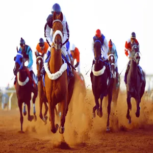 الجامعة ترعى سباق الفروسية الثالث والعشرون برعاية معالي مدير الجامعة